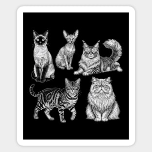 Cat breeds retro vintage Magnet